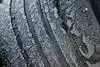 Bild zum Inhalt: Michelin: Komme was wolle!