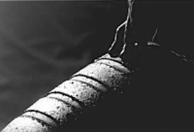 Bridgestone-Reifen Titel-Bild zur News: Bridgestone-Reifen