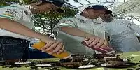 Frentzen und Heidfeld
