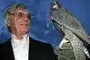 Bild zum Inhalt: Ecclestones Formel-1-Expansion