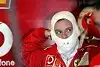 Bild zum Inhalt: Ferrari: Noch kein neuer Vertrag für Barrichello