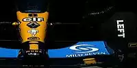 Renault-Nase