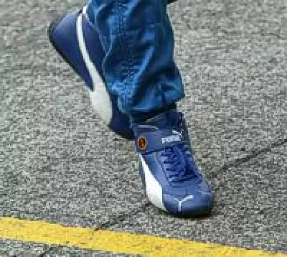 Titel-Bild zur News: Puma