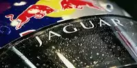 Bild zum Inhalt: Ford erleichtert - Jaguar ist verkauft