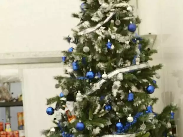 Christbaum bei Red Bull Racing Titel-Bild zur News: Christbaum bei Red Bull Racing