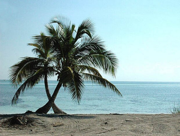 Titel-Bild zur News: Strand in Cancun