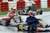 Bild zum Inhalt: Als Liuzzi sogar Schumacher geschlagen hat...
