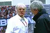 Bild zum Inhalt: Jordan: Bernie Ecclestone wird eine Fallstudie werden