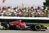 Bild zum Inhalt: Toro Rosso: Speed glänzt vor Heimpublikum