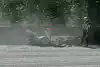 Bild zum Inhalt: Honda: Motorschäden und Unfall
