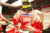 Bild zum Inhalt: Ralf Schumacher glaubt an starkes Saisonfinale