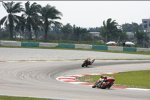 Nicky Hayden und Daniel Pedrosa (Honda)