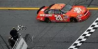 Tony Stewart