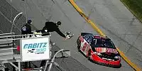 Kevin Harvick