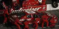 Dale Earnhardt jun.