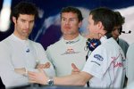 Mark Webber und David Coulthard (Red Bull)
