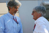 Bild zum Inhalt: Damon Hill sorgt sich um den Großbritannien-Grand-Prix