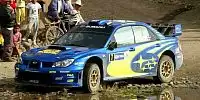 Petter Solberg
