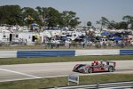 Audi R10 TDI #2 (Audi Sport North America), Marco Werner