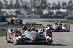 Audi R10 TDI #1 (Audi Sport North America), Frank Biela