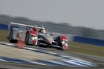 Audi R10 TDI #1 (Audi Sport North America), Tom Kristensen