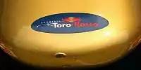 Scuderia Toro Rosso