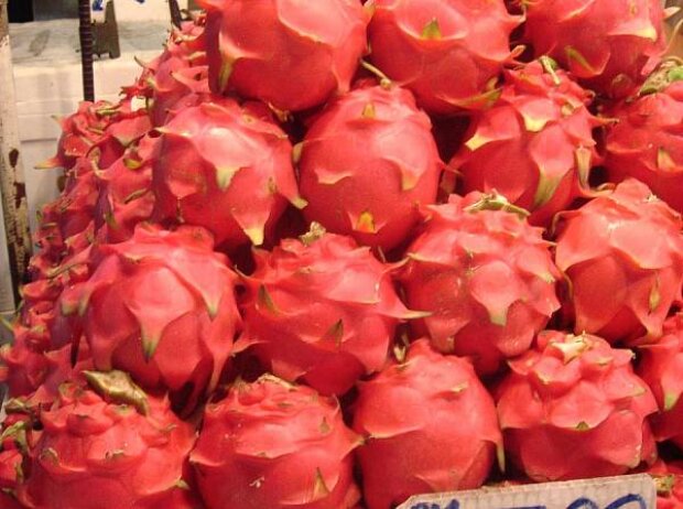 Dragenfruits