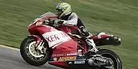 Troy Bayliss
