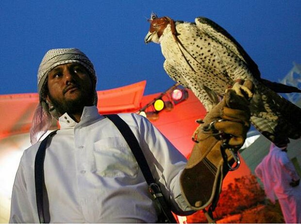 Titel-Bild zur News: Falkner in Bahrain