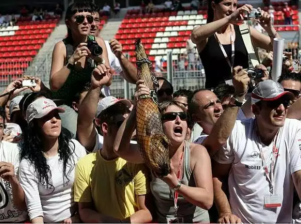Spanische Fans Titel-Bild zur News: Spanische Fans