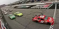 Dale Earnhardt Jr.