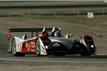 Audi R10 TDI #1 (Audi Sport North America), Allan McNish