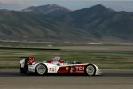 Audi R10 TDI #1 (Audi Sport North America), Dindo Capello