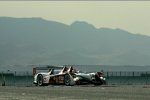 Audi R10 TDI #2 (Audi Sport North America), Emanuele Pirro