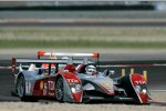 Audi R10 TDI #1 (Audi Sport North America), Allan McNish