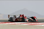 Audi R10 TDI #2 (Audi Sport North America), Marco Werner