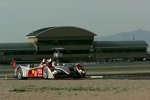 Audi R10 TDI #1 (Audi Sport North America), Allan McNish