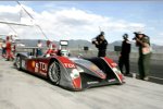 Audi R10 TDI #1 (Audi Sport North America), Allan McNish