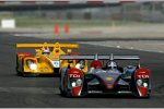 Audi R10 TDI #1 (Audi Sport North America), Dindo Capello