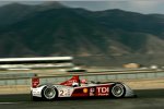 Audi R10 TDI #2 (Audi Sport North America), Marco Werner