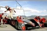 Audi R10 TDI #2 (Audi Sport North America), Emanuele Pirro