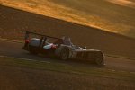 Tom Kristensen/Rinaldo Capello/Allan McNish (Audi Sport) 
