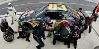 Brian Vickers Red Bull