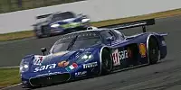 Andrea Bertolini Sara Free Maserati