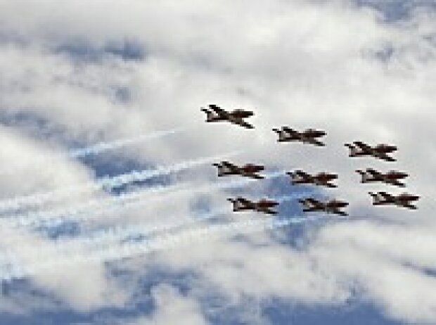 Canada's Snow Birds Canada's Snow Birds
