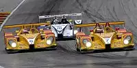 Porsche RS Spyder