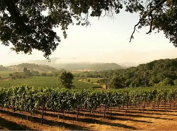 Sonoma Titel-Bild zur News: Sonoma