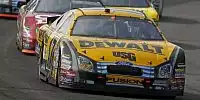 Bild zum Inhalt: Kenseth: "In Talladega ist alles anders"