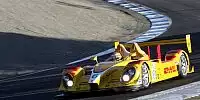 RS Spyder, Penske Racing: Sascha Maassen, Ryan Briscoe