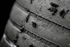 Bridgestone: Ein hartes Rennen zum Schluss